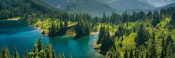 Park Narodowy Mount Rainier, Drzewa, Stany Zjednoczone, Eunice Lake, Góra, Mount Rainier, Jezioro, Las, Góry Kaskadowe, Stan Waszyngton