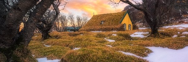 Hof, Kościół Hofskirkja, Islandia, Osada, Trawy, Drzewa, Śnieg, Budynek, Góry, Gmina Hornafjordur