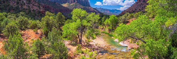 Stany Zjednoczone, Drzewa, Chmury, Góry Watchman, Park Narodowy Zion, Stan Utah, Rzeka Virgin River