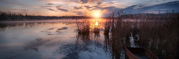 Szatura, Trawy, Rosja, Chmury, Łódka, Drzewa, Wschód słońca, Jezioro Szaturskie, Trzciny, Obwód moskiewski