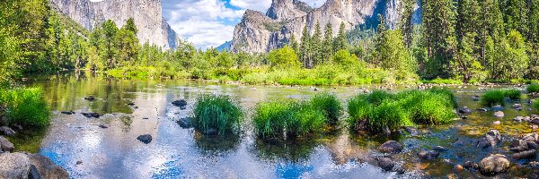 Rzeka Merced, Trawa, Park Narodowy Yosemite, Stan Kalifornia, Stany Zjednoczone, Chmury, Góry Sierra Nevada, Zielona, Drzewa