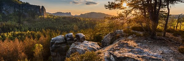 Góry Połabskie, Drzewa, Skały, Niemcy, Park Narodowy Saskiej Szwajcarii