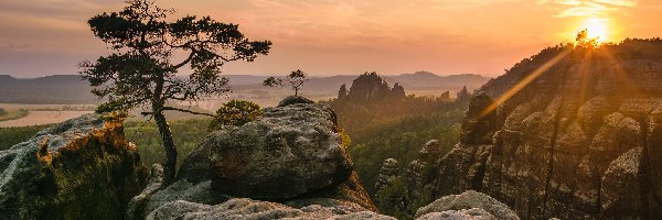 Park Narodowy Saskiej Szwajcarii, Sosna, Zachód słońca, Niemcy, Skały, Góry Połabskie