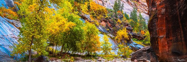 Rzeka Virgin River, Park Narodowy Zion, Kanion Zion Narrows, Stan Utah, Stany Zjednoczone, Kamienie, Skały