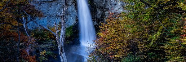 Drzewa, Chorrillo del Salto, Argentyna, Park Narodowy Los Glaciares, Skała, Rzeka, Kamienie, Wodospad