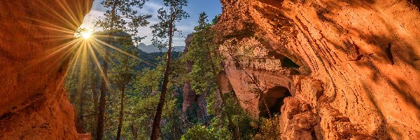 Arizona, Promienie słońca, Sedona, Stany Zjednoczone, Sosny, Skały