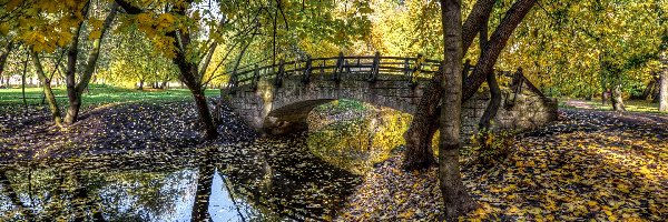 Park, Drzewa, Jesień, Rzeka, Most