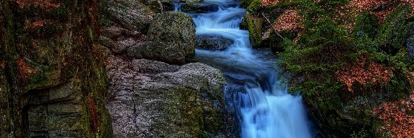 Skały, Resov Falls, Czechy, Liście, Las, Rośliny, Brązowe, Wodospad