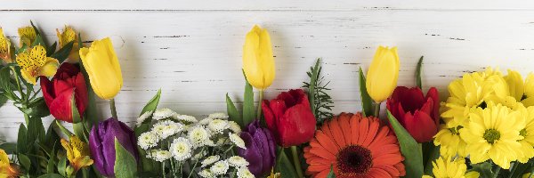 Kwiaty, Gerbera, Tulipany, Alstremerie, Chryzantemy