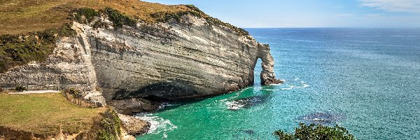 Cape Farewell Arch, Klif, Nowa Zelandia, Morze, Cypel, Skały, Rośliny, Wybrzeże