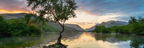 Góry, Llyn Padarn, Park Narodowy Snowdonia, Walia, Wielka Brytania, Zachód słońca, Kamienie, Jezioro, Drzewo