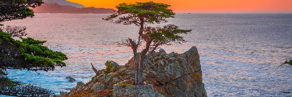 Morze, Atrakcja Lone Cypress, Stany Zjednoczone, Carmel Bay, Morze, Pebble Beach, Zatoka, Cyprys wielkoszyszkowy, Skała, Kalifornia