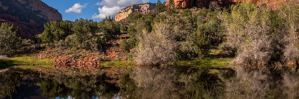 Drzewa, Skały, Stany Zjednoczone, Arizona, Krzewy, Jezioro, Sedona, Czerwone