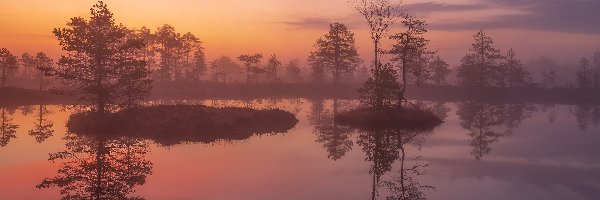 Jezioro, Drzewa, Mgła, Wschód słońca, Poranek