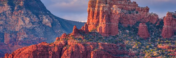 Czerwone, Sedona, Skały, Stany Zjednoczone, Arizona