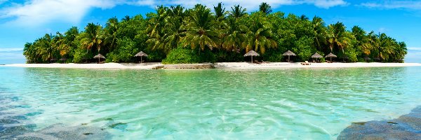 Malediwy, Wyspa, Morze, Plaża, Palmy