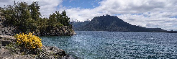 Skały, Góry Andy, Nahuel Huapi Lake, Jezioro, Argentyna, Chmury, Kwiaty, Park Narodowy Nahuel Huapi, Drzewa