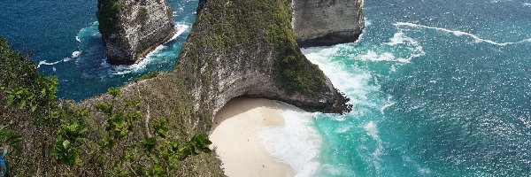 Skały, Roślinność, Plaża Kelingking Beach, Klif, Morze, Indonezja, Nusa Penida