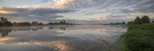 Rzeka, Trawa, Mgła, Chmury, Drzewa