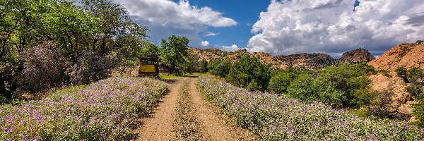 Góry, Drzewa, Chmury, Niebo, Droga, Stany Zjednoczone, Stan Arizona, Trawa, Prescott Valley