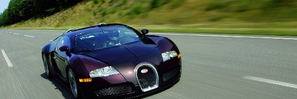 Bugatti Veyron, Bordowy