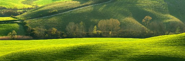 Toskania, Wzgórza, Włochy, Rozświetlone, Pola