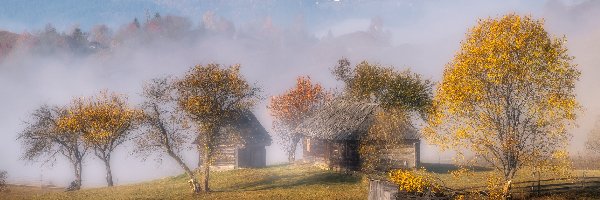 Góry, Drewniane, Domy, Wieś, Jesień, Mgła, Drzewa