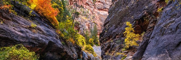 Rzeka Virgin River, Park Narodowy Zion, Kanion Zion Narrows, Stan Utah, Stany Zjednoczone, Roślinność, Skały