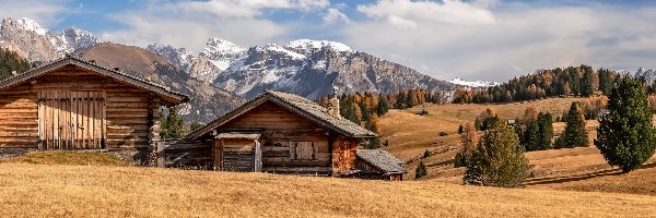 Drzewa, Dolina Val Gardena, Włochy, Domki, Dolomity, Wzgórza, Drewniane, Płaskowyż Seiser Alm, Góry Sassolungo, Chmury