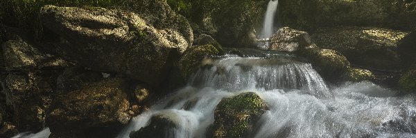 Rwąca, Las, Rzeka, Kamienie, Skały