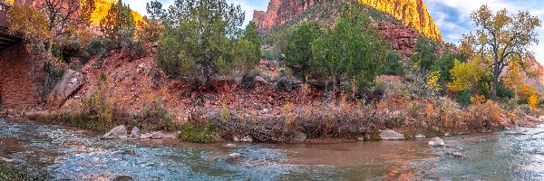 Skały, Góry Watchman, Stany Zjednoczone, Stan Utah, Drzewa, Rzeka Virgin River, Kamienie, Park Narodowy Zion