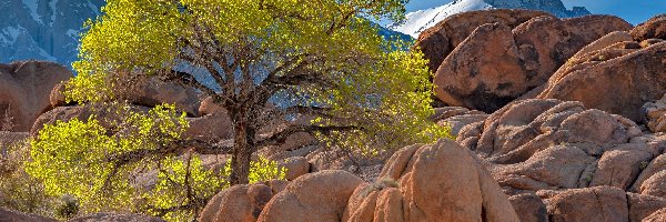 Kalifornia, Słońce, Alabama Hills, Stany Zjednoczone, Góry, Skały