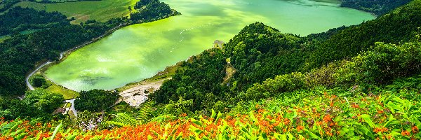 Jezioro Furnas, Roślinność, Wzgórza, Zielone, Góry, Portugalia, Wyspa Sao Miguel, Kwiaty, Azory