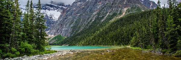 Rzeka, Kanada, Astoria River, Park Narodowy Jasper, Chmury, Góry, Mount Edith Cavell, Lasy, Góra, Alberta, Drzewa