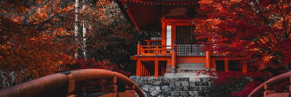 Bentendo Temple, Kioto, Mostek, Drzewa, Świątynia, Kompleks Daigo-ji, Jesień, Japonia