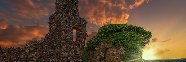 Chmury, Zamek w Corfe Castle, Winorośl, Zachód słońca, Ruiny, Anglia, Hrabstwo Dorset