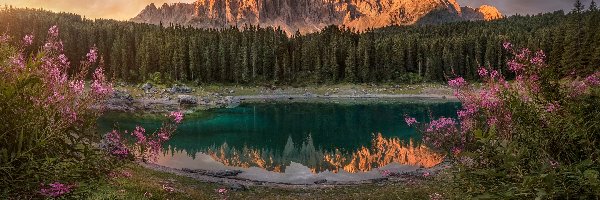 Włochy, Góry, Alpy, Lago di Carezza, Jezioro, Południowy Tyrol, Dolomity