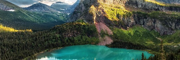 Montana, Drzewa, Park Narodowy Glacier, Stany Zjednoczone, Jezioro Grinnell Lake, Góry