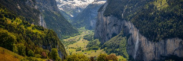 Drzewa, Dolina Lauterbrunnen, Góry, Wengen, Gmina Lauterbrunnen, Szwajcaria, Domy, Alpy Berneńskie, Lasy
