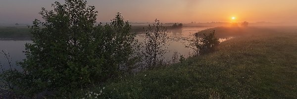 Rzeka, Drzewa, Mgła, Zachód słońca, Trawa