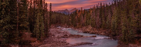 Las, Rzeka Kicking Horse, Kanada, Prowincja Kolumbia Brytyjska, Park Narodowy Yoho, Drzewa, Góry, Wschód słońca