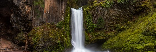 Rzeka, Toketee Falls, Hrabstwo Douglas, Stan Oregon, Stany Zjednoczone, Roślinność, Skały, Wodospad, North Umpqua River