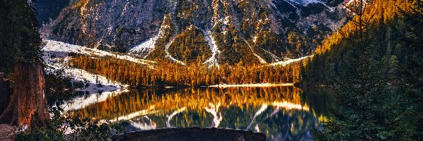 Ławka, Pragser Wildsee, Włochy, Tyrol, Lago di Braies, Góry, Dolomity, Jezioro