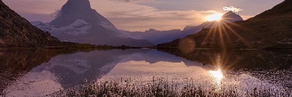 Rośliny, Alpy Pennińskie, Szwajcaria, Promienie słońca, Matterhorn, Jezioro, Riffelsee, Góry, Góra, Kanton Valais