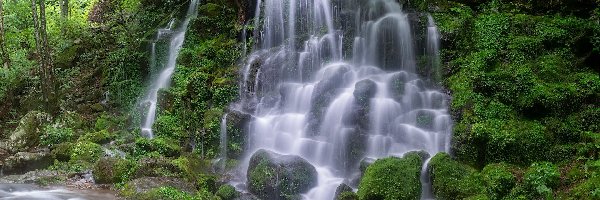 Omszałe, Roślinność, Wodospad, Rzeka, Las, Korea Południowa, Park Narodowy Jirisan, Silbidan Falls, Kamienie