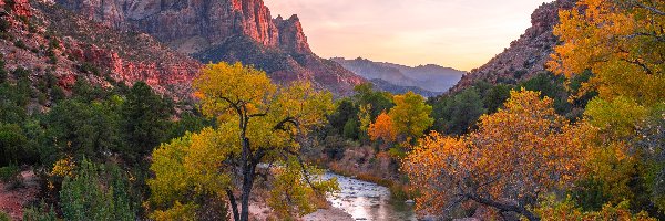 Virgin River, Rzeka, Park Narodowy Zion, Stan Utah, Stany Zjednoczone, Wschód słońca, Drzewa, Góry Watchman, Kamienie