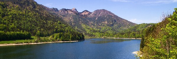 Góry, Lasy, Jezioro Schwarzensee, Austria, Drzewa