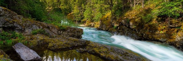 Chmury, Rzeka, Ohanapecosh River, Waszyngton, Stany Zjednoczone, Drzewa, Las