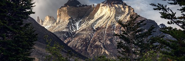 Cordillera del Paine, Masyw Torres del Paine, Skała, Góry, Drzewo, Park Narodowy Torres Del Paine, Rzeka, Chile, Patagonia