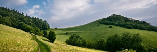 Trawa, Droga, Łąki, Chmury, Drzewa, Wzgórza